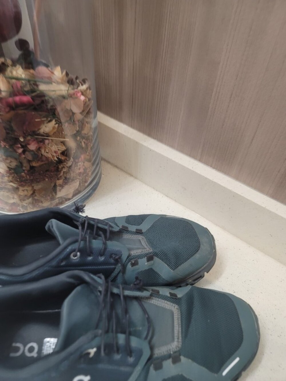 ON Cloud 6 Running Evergreen Men's Size 10 Evergreen - Picture 6 of 11